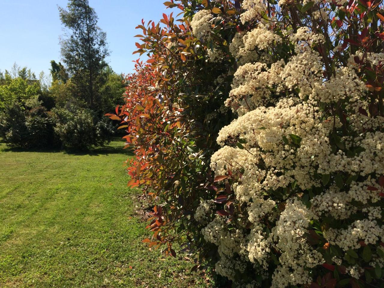 La Villa Bolero Saint-Cyr-sur-Loire Ngoại thất bức ảnh